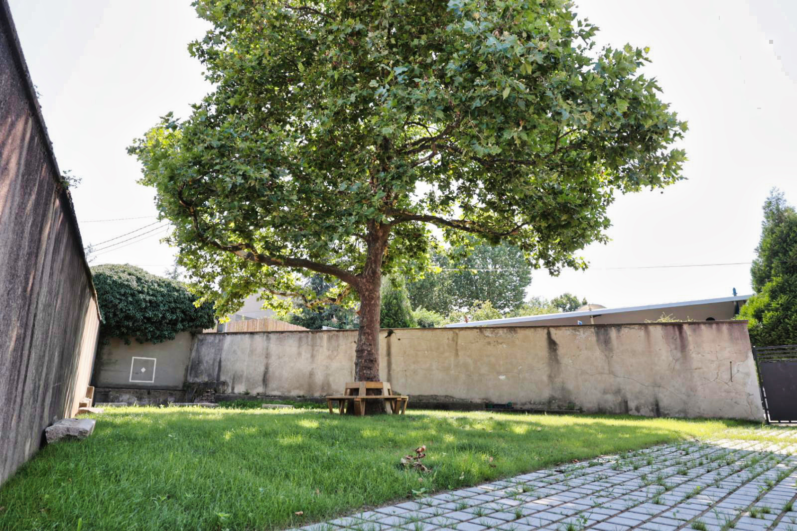 Ecole de Terrenoire : Fini le béton, place à la verdure !